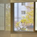 주희바느질카페 | 흔들리는 시간 속에