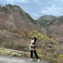 들안길애견펜션 | [구례 펜션] 애견 운동장과 수영장이 있는 구례 애견동반 펜션 '들안길펜션' 재방문 후기