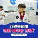 서린태권도장 이미지