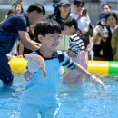 영덕 물가자미 축제 대구일보