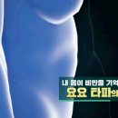 내 몸이 비만을 기억한다, 요요 타파의 비밀 이미지