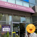 마리스플라워 이미지
