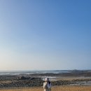 영흥도어울림캠핑장 이미지