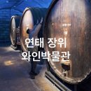 장위3 | 연태 장위 와인 박물관 시음부터 지하 저장고까지 후기