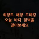 매물도푸른민박 | 외양도 해양 트레킹, 오늘 바다 절벽을 걸어보세요