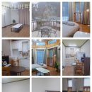 계곡이 아름다운 집 | 강원도계곡펜션 쎄라비펜션 여름국내여행 떠날 때 주말나들이로도 좋은 계곡은?