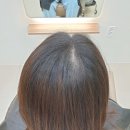 살롱드헤어샵(salond hair shop) | 광주 운암동 미용실 살롱드애리 에서 톤다운염색했어요