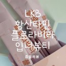 엘케이비 이미지