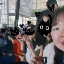 새날푸드 - 사하구 | 호요랜드2024 일요일 방문 후기, 드론쇼 첨부