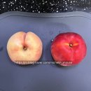 감곡2농장 | 감곡 햇사레 복숭아 황도 vs 농협 프레샤인 복숭아 백도 말랑복숭아 비교 내돈내산 후기