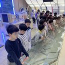 한국체대 용무태권도장 이미지