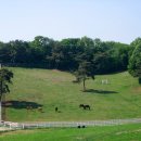 한창목장 이미지