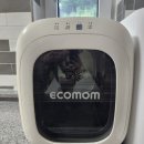 베이유키즈풀빌라펜션 이미지