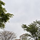 라메르갯벌