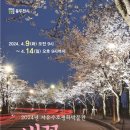 평화박물관 벚꽃맞이 야간개장 버스킹 공연 네이버블로그