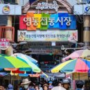 영동전통시장 이미지