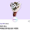 솜텔레콤