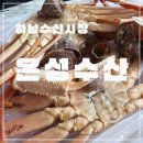 하남시장 | [은성수산]하남 수산 시장 대게 포장 후기(대게시세,주차정보)