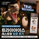 1337 | 수원 롯데 타임빌라스 맛집 트라이아스 공룡 레스토랑 방문 후기