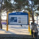 율포솔밭해변1 이미지