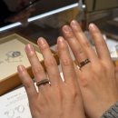 1503 | W5. 불가리 웨딩밴드 구매후기 베네치아 1503 비제로원 에센셜 링 ( 롯데백화점 에비뉴엘 잠실점)