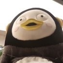 눈썹함다 이미지