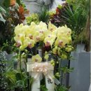 김천시민장례식장 이미지