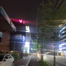 군산여객자판기 | 않는 편안함, 울릉크루즈 (포항 - 울릉도) 배 탑승, 로얄스위트룸 VIP 탑승 후기!!!! (+ 셔틀버스)