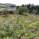 서호동-49 이미지