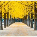 남이장군 사당 이미지