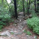 정진사 이미지