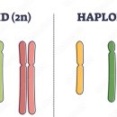 돌연변이, 유전, 변이 Mutations | Inheritance and variation 이미지