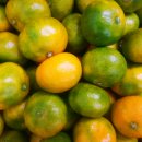 송미농장 이미지