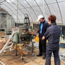 준상농장 이미지