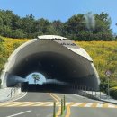 쏠비치 리조트 진도 이미지