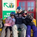 웰빙카써비스 | 초등 아이와 모나 용평리조트 2박3일｜스키부터 키즈카페까지 100% 즐기기