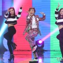 투송