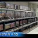 테라오토 이미지
