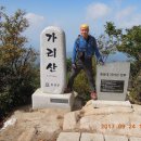 가락재로 Daum카페