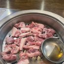 잡쏴봐 뒷고기 이미지