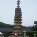 고려대학교 정책대학원 이미지