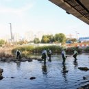 하천(유등천2) 이미지