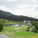 파인(143) 이미지