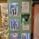 버터컵플라워