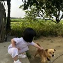 자연아 놀자 | 28개월 아기랑 강릉 자연아 놀자 후기(가격, 동물, 체험활동)