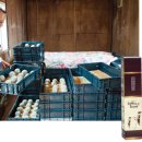 인양양초장 이미지