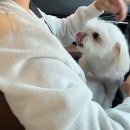 부엉이노래연습장 네이버블로그