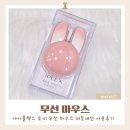 아이플렉스 | 무선마우스추천 아이플렉스 토끼 무선마우스 내돈내산 사용후기