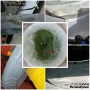 행운동-12 이미지