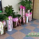 신촌당구클럽 이미지